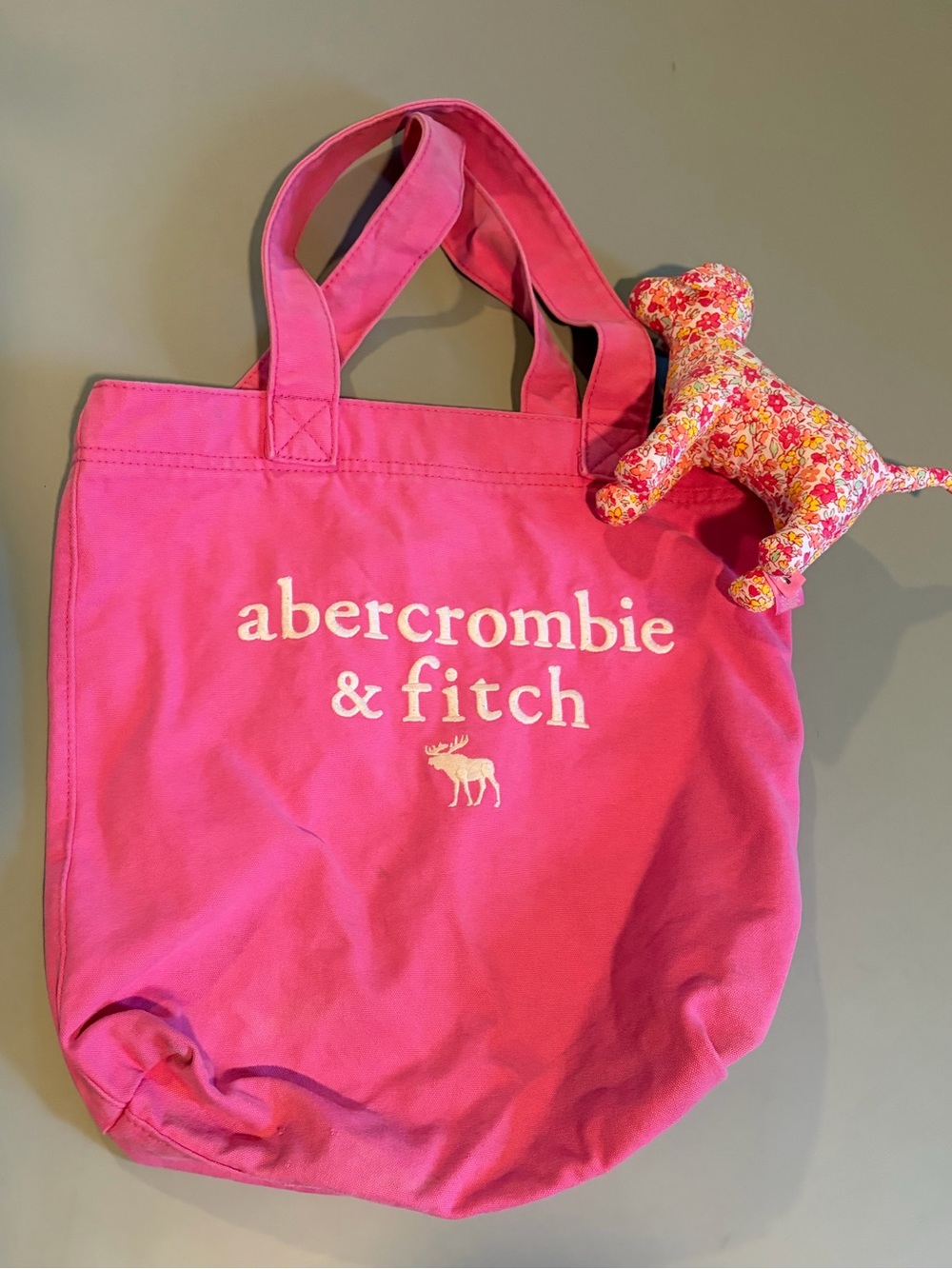 Abercrombie & Fitch Pink Canvas Tote Bag & PINK Limited Edition stuffed puppy